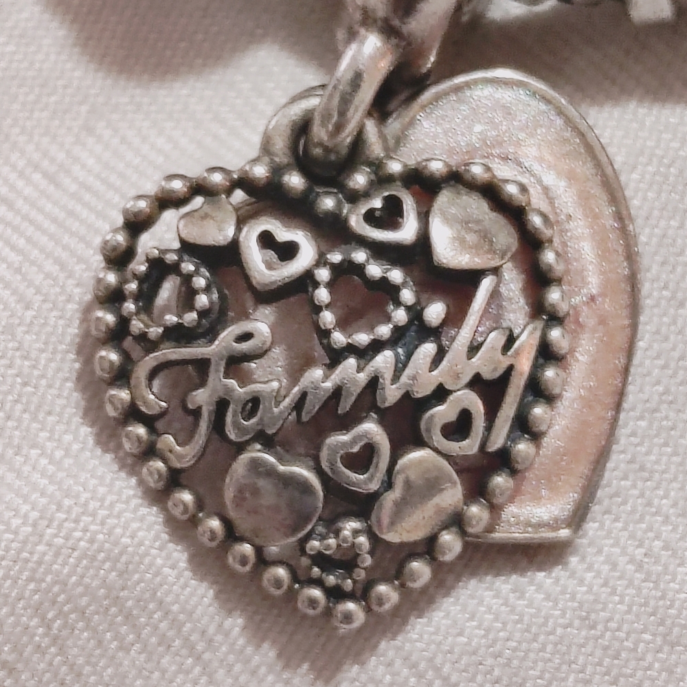 Pandora Charm Bracelet - Picture 14 of 15